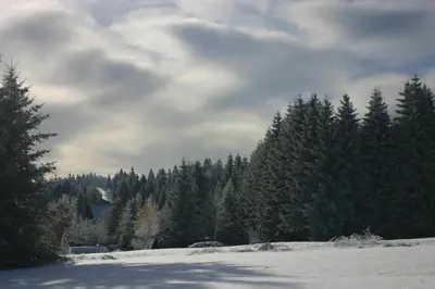 Pension & FeWo's Talblick im Winter
