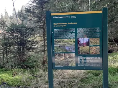 Naturlandschaft in der Nähe der Pension