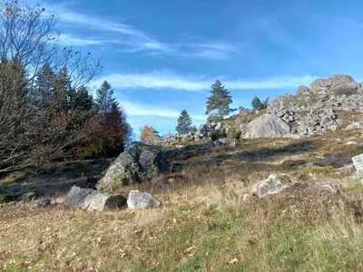 Naturlandschaft in der Nähe des Ferienhauses