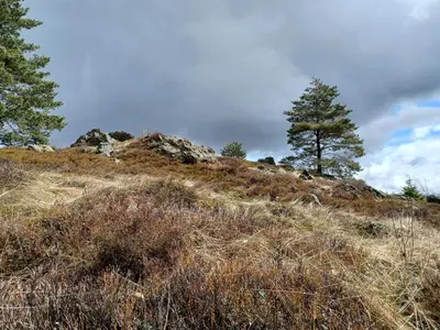 Naturlandschaft in der Nähe des Ferienhauses