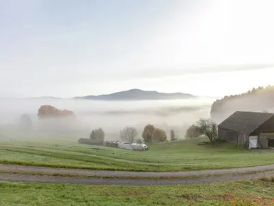 Naturlandschaft in der Nähe des Ferienhauses