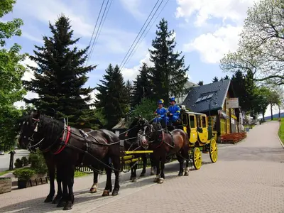 Reiten in der Ferienwohnung oder in der Nähe