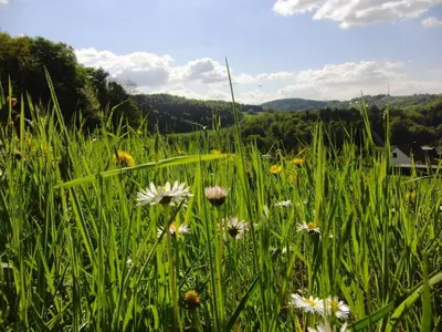 Naturlandschaft in der Nähe der Ferienwohnung