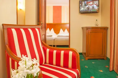 TV/Unterhaltungsangebot in der Unterkunft Hotel Wilder Mann