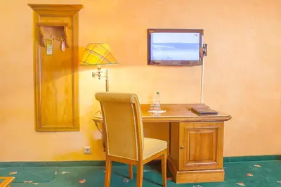 TV/Unterhaltungsangebot in der Unterkunft Hotel Wilder Mann