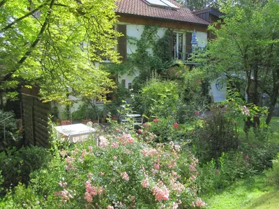 Ein Garten an der Unterkunft Ferienwohnungen Blätterrausch