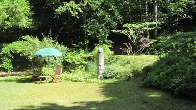 Ein Garten an der Unterkunft Ferienwohnungen Blätterrausch