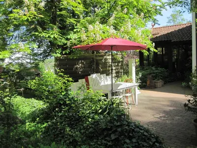 Ein Garten an der Unterkunft Ferienwohnungen Blätterrausch