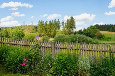 Naturlandschaft in der Nähe der Ferienwohnung