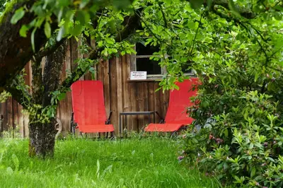 Ein Garten an der Unterkunft Ferienhaus Betty