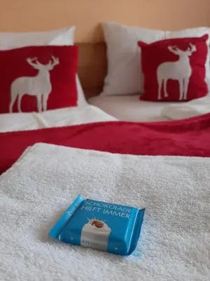 Ein Bett oder Betten in einem Zimmer der Unterkunft Hotel Landgasthof Frankenstern