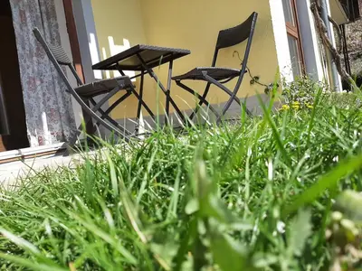 Ein Garten an der Unterkunft Hotel Landgasthof Frankenstern