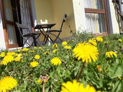 Ein Garten an der Unterkunft Hotel Landgasthof Frankenstern