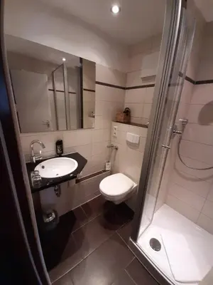 Ein Badezimmer in der Unterkunft Hotel Landgasthof Frankenstern