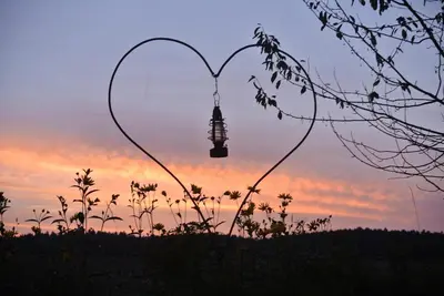 Blick auf den Sonnenuntergang/Sonnenaufgang von of country house aus oder aus der Nähe