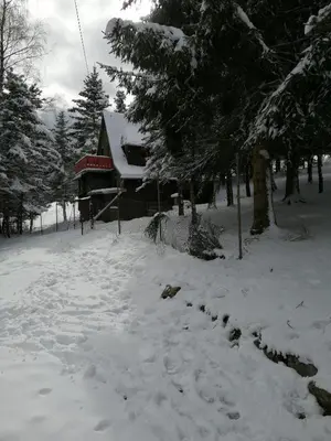 Waldhaus, Ski- und Wanderhütte im Winter