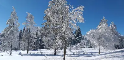 Pension Berghof im Winter