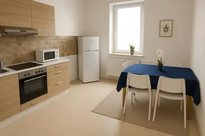 Küche/Küchenzeile in der Unterkunft SUNNYHOME Monteurwohnungen und Apartments in Schwandorf