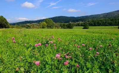 Naturlandschaft in der Nähe des Hotels