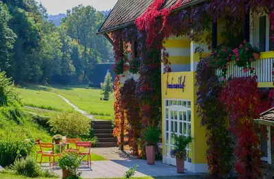 Ein Garten an der Unterkunft Hotel Frankenschleif
