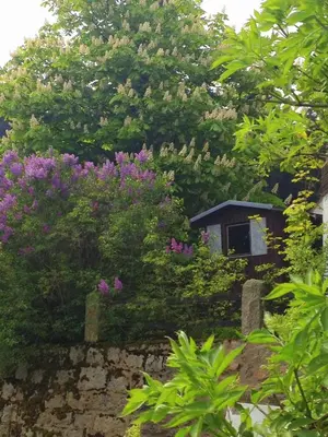 Ein Garten an der Unterkunft Antjes kleines Nest