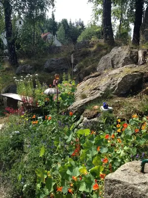Ein Garten an der Unterkunft Antjes kleines Nest