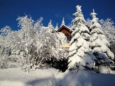 Ferienhaus Bergtraum – Ferienwohnung Lilli im Winter