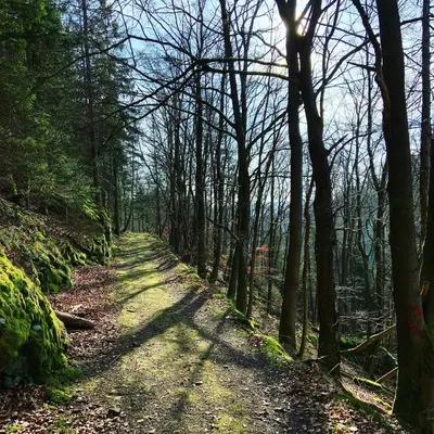 Naturlandschaft in der Nähe der Ferienwohnung
