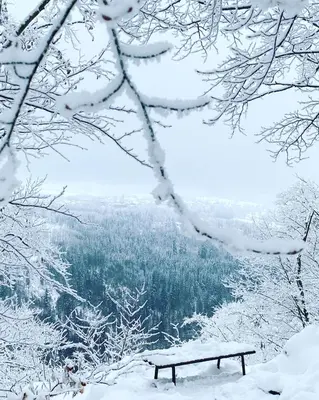 Ferienwohnung Frankenwald im Winter