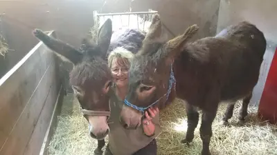 Tiere in der Ferienwohnung oder in der Nähe