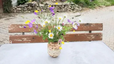 Ein Garten an der Unterkunft Ferienhof Lang