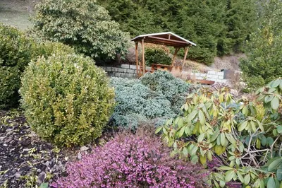 Ein Garten an der Unterkunft Waldgasthof Lorchenmühle UG