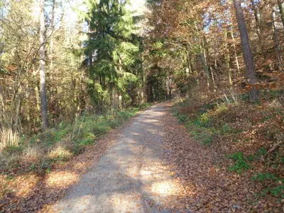 Naturlandschaft in der Nähe des Ferienhauses