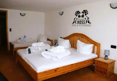 Ein Bett oder Betten in einem Zimmer der Unterkunft Schwarzes Ross Hotel & Restaurant Oberwiesenthal