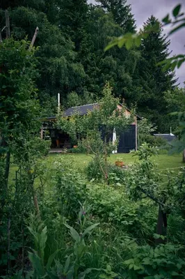 Naturlandschaft in der Nähe des Ferienhauses