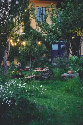 Ein Garten an der Unterkunft Blickinsfreie - Cabin