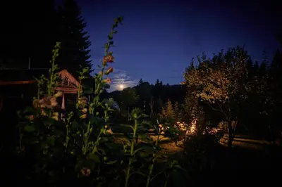 Ein Garten an der Unterkunft Blickinsfreie - Cabin
