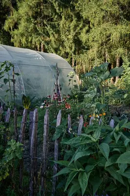 Ein Garten an der Unterkunft Blickinsfreie - Cabin