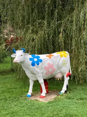 Tiere in der Ferienwohnung oder in der Nähe