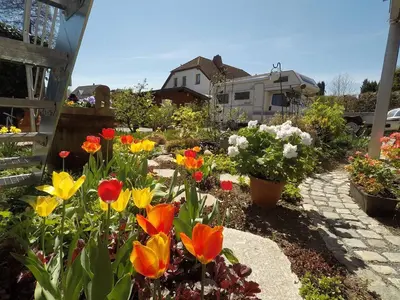 Ein Garten an der Unterkunft Ferienwohnung Blütentraum