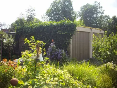 Ein Garten an der Unterkunft Ferienwohnung Blütentraum