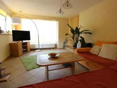 TV/Unterhaltungsangebot in der Unterkunft Ferienhaus Röbiger
