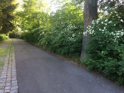 Grundriss der Unterkunft Villa Bergmann