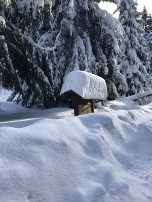 Ferienwohnung Däumler im Winter