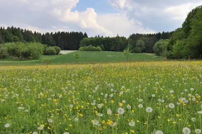 Naturlandschaft in der Nähe des Resorts