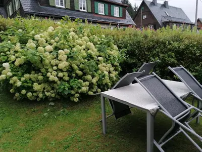 Ein Garten an der Unterkunft Ferienhaus am Wald