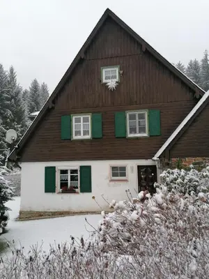 Ferienhaus am Wald im Winter