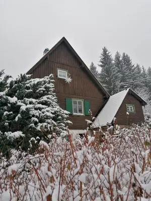 Ferienhaus am Wald im Winter