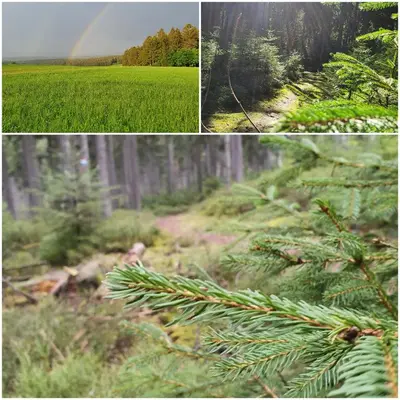 Naturlandschaft in der Nähe der Ferienwohnung