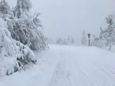 Fewo-Michi im Winter
